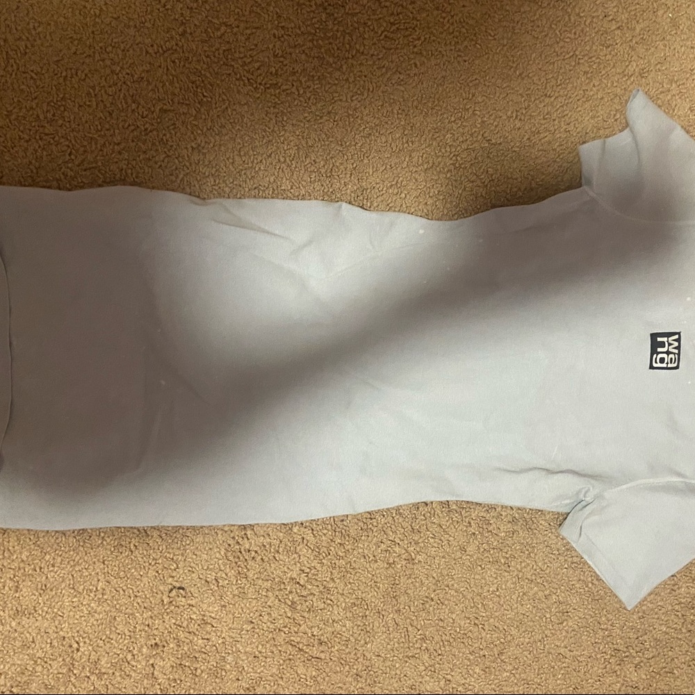 alexander wang dress